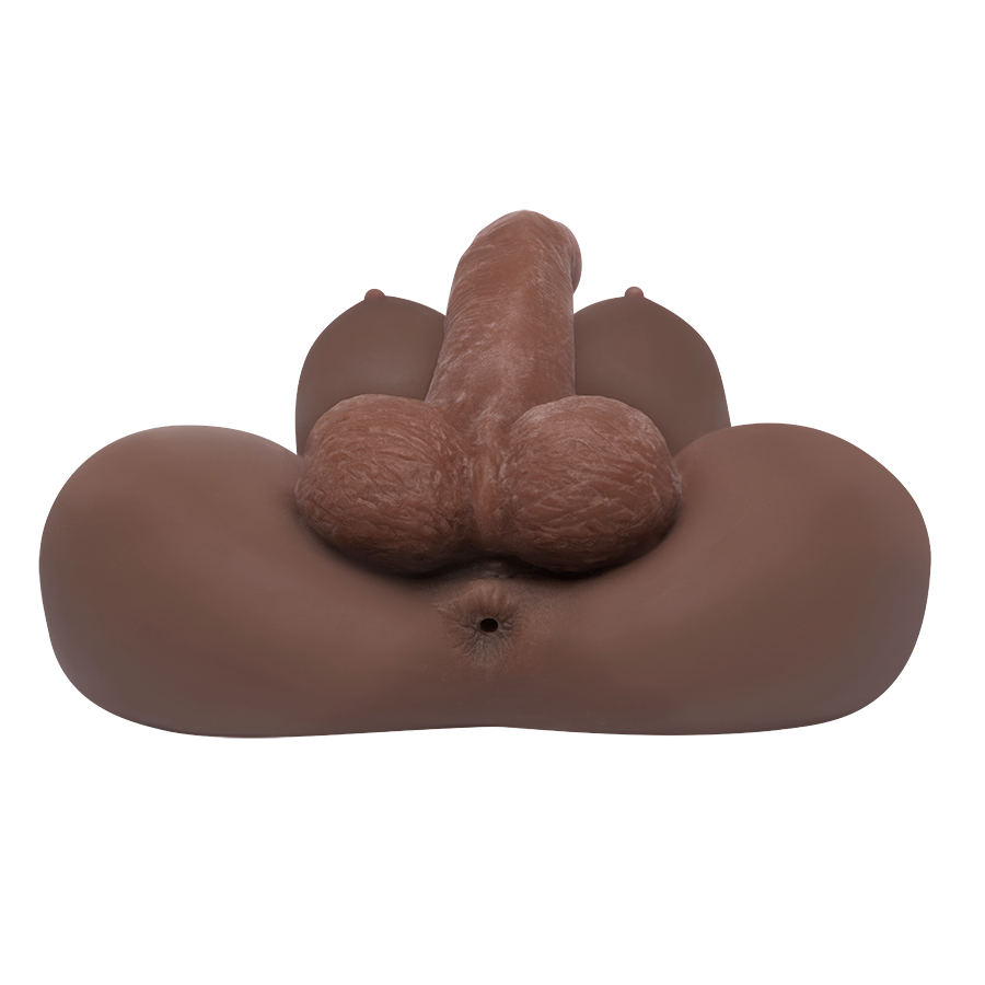 Trans Deluxe